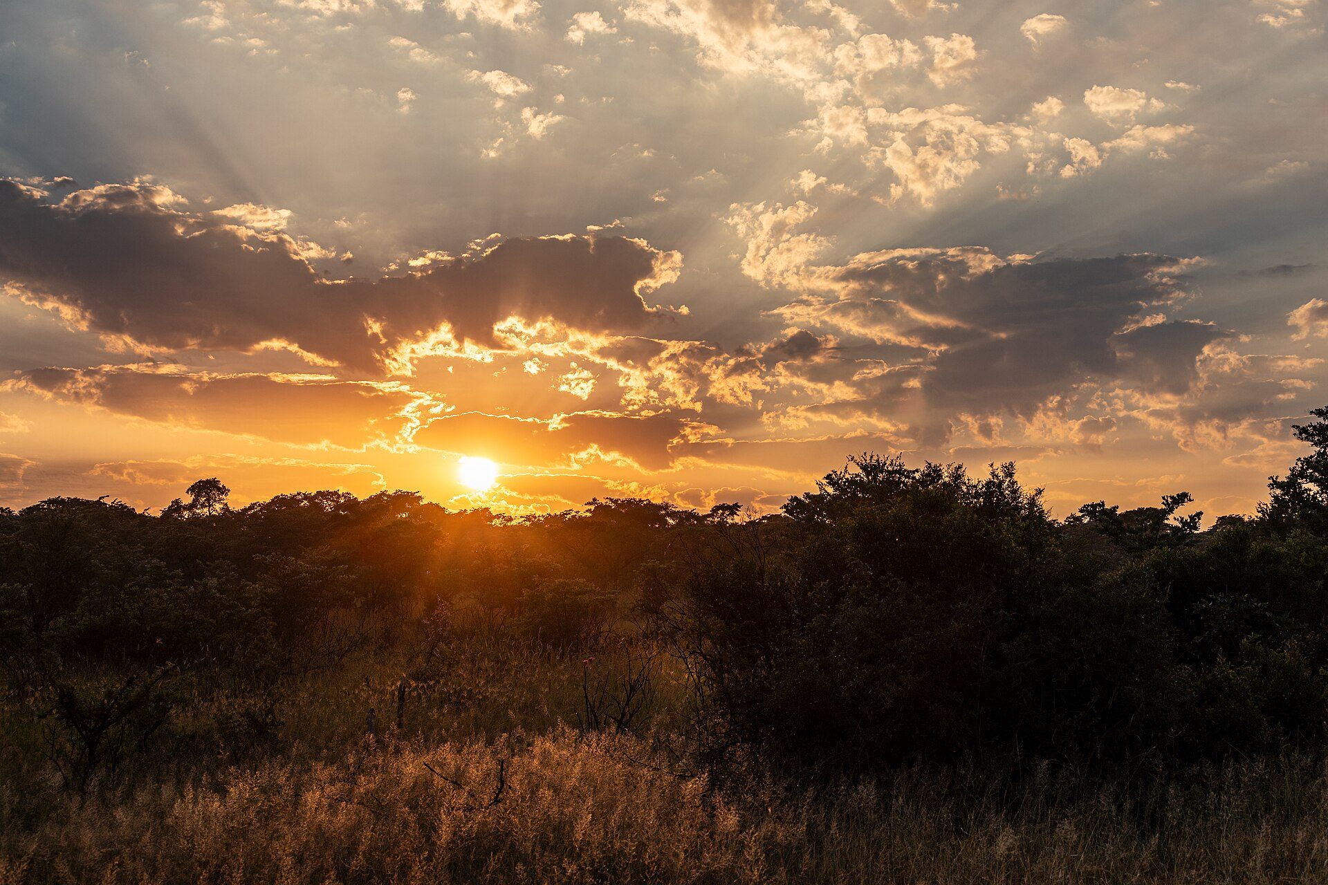 Sunrise over the bushveld in Kruger National Park, South Africa